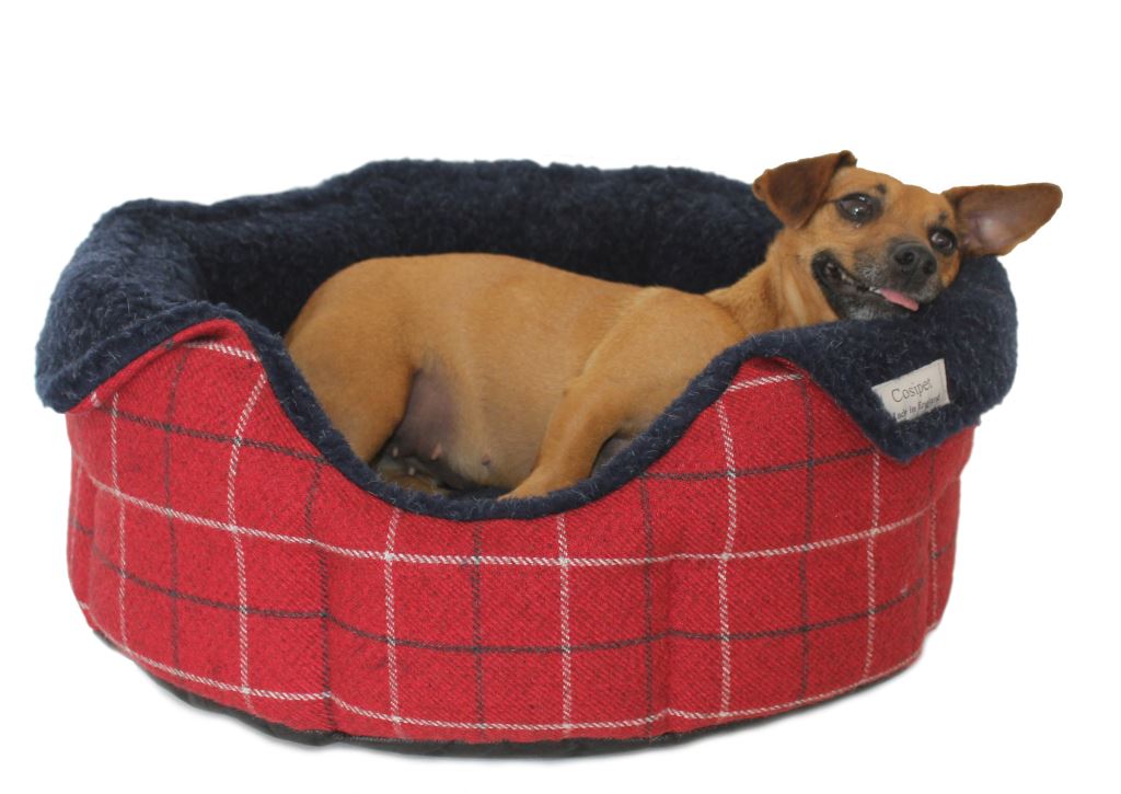 Slumber nest hot sale dog bed